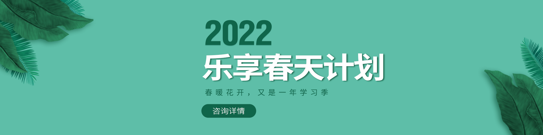 bb视频国产片一级了